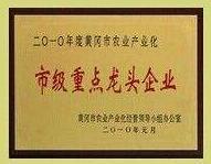 ***企業(yè)榮譽(yù)證書